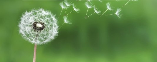 What Triggers Histamine Release: 25 Common Causes You Need to Know